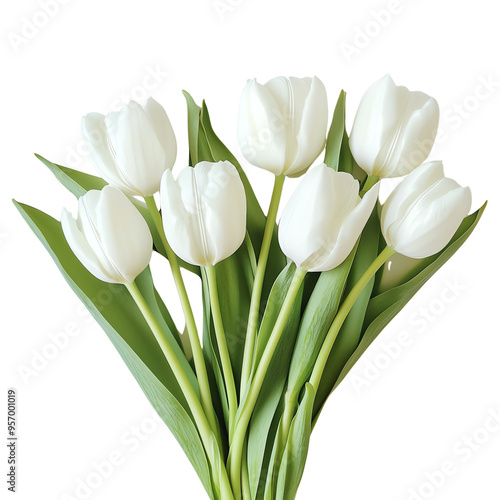 Elegant bouquet of white tulips with green leaves, showcasing natural beauty, perfect for floral arrangements and nature themes. photo