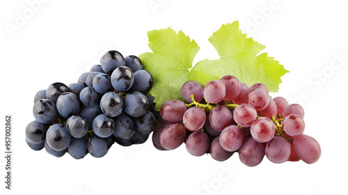 Fresh black and red grapes with green leaves, perfect for healthy snacking or adding to dishes. 