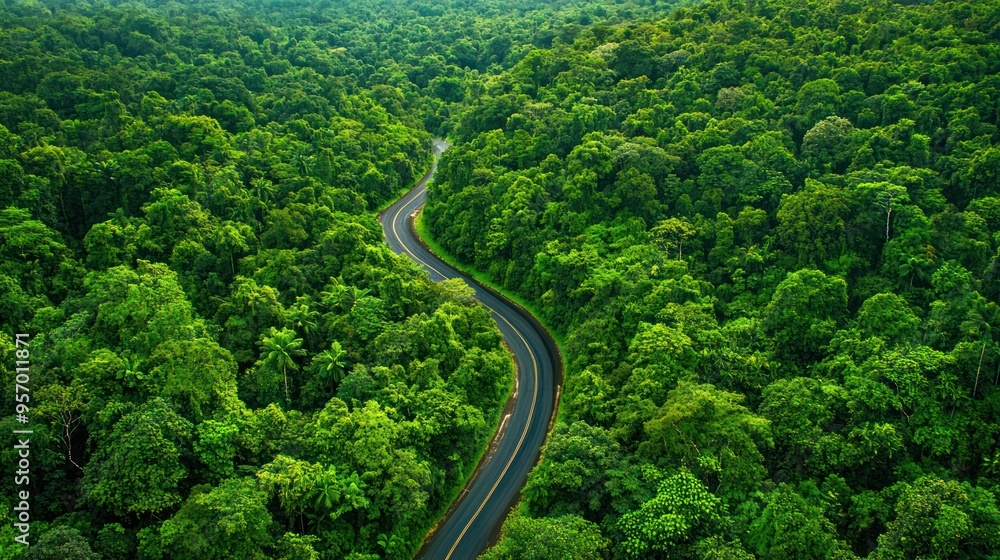 An aerial view of a zigzag road through a dense forest, with lush greenery surrounding it. An aerial view of a zigzag road through a dense forest, with lush greenery surrounding it.