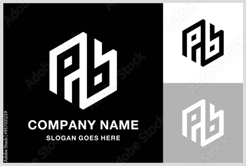 Monogram Letter PB Business Company Stock Vector Logo Design Template