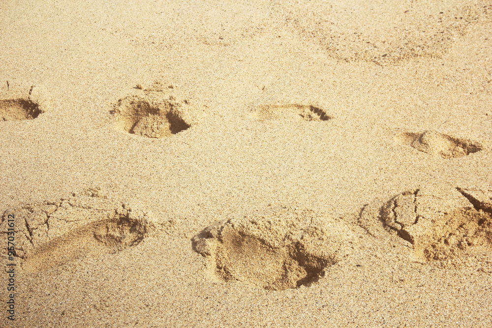 Obraz premium Huellas en la arena de la playa