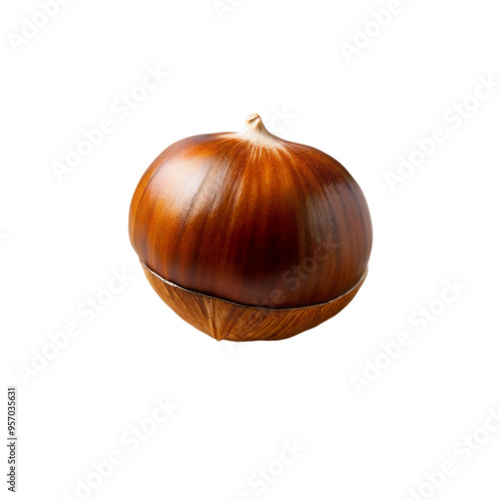 A single chestnut isolated on transparent background. photo