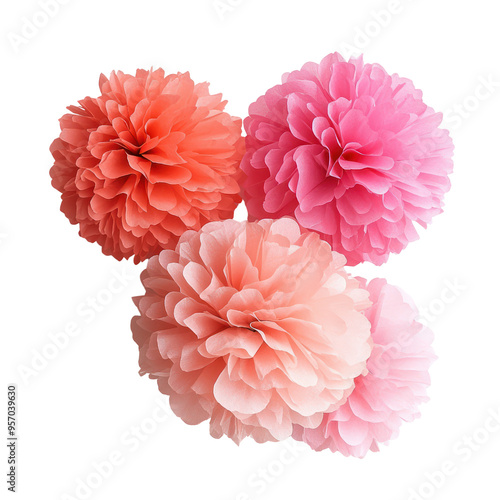  Tissue paper pom-poms object isolated on transparent png.