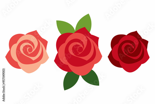 4 Rose Blossom Vector Illustrations on White Background