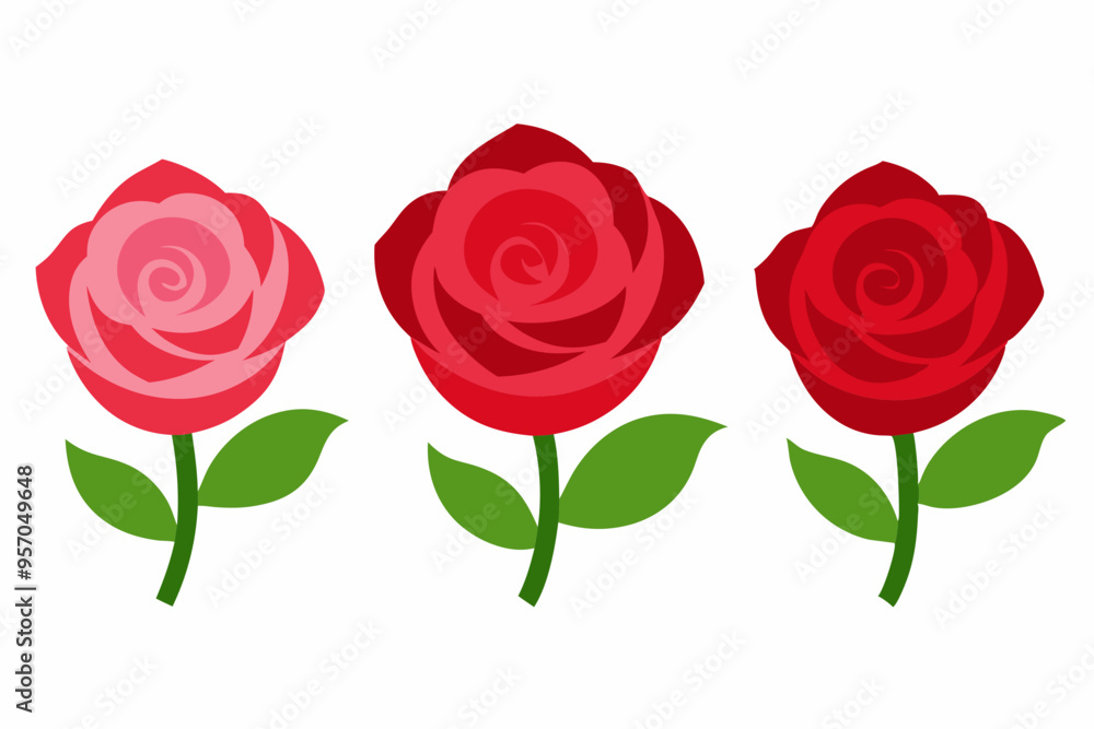 4 Rose Blossom Vector Illustrations on White Background 4 Rose Blossom Vector Illustrations on White Background