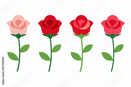 4 Rose Blossom Vector Illustrations on White Background