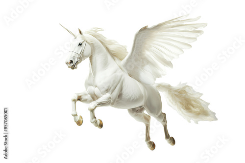 Elegant white Pegasus unicorn with majestic wings, isolated on PNG cutout transparent background.