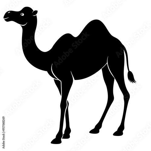 Black Camel Silhouette on White Background