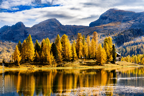 lac federa photo