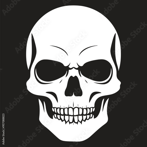 Human skull face isolated on white background.