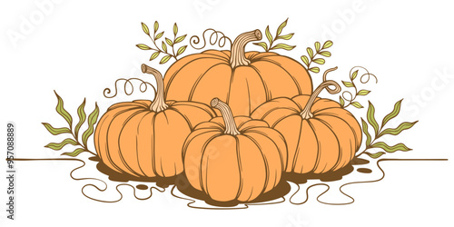 pumpkin with leaves vector illustration
