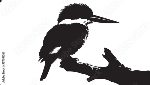 king fisher  vector art and illustration