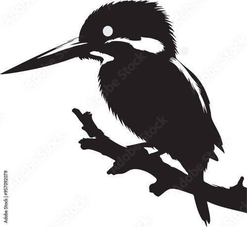 king fisher  vector art and illustration