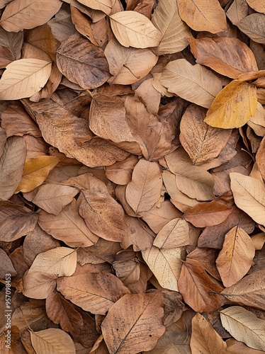 Background of autumn fall maple leaves. Texture of autumn fall leaves in the outdoors during autumn.