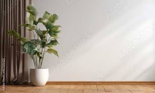 potted plant in front white wall