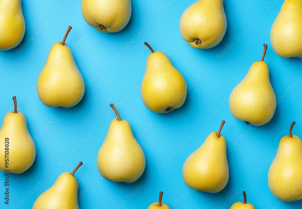 An autumn still life of yellow pears on a blue background. Pear variety Bera Conference. Vitamin food. Top view. Back view. An autumn still life of yellow pears on a blue background. Pear variety Bera Conference. Vitamin food. Top view. Back view.