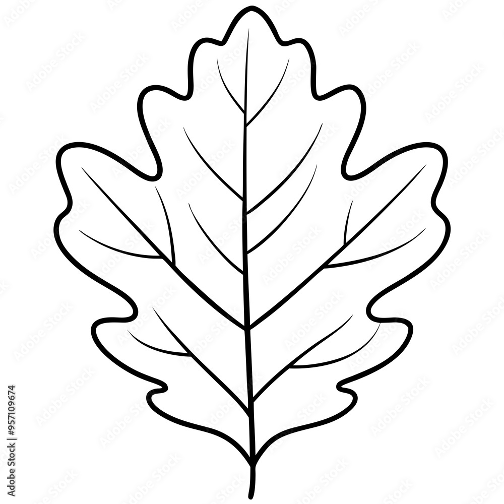Minimalist Vector of a Large Oak Leaf with Veins Minimalist Vector of a Large Oak Leaf with Veins