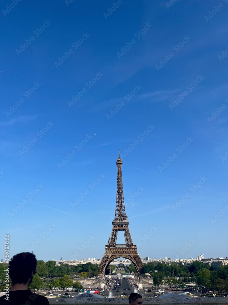 Fototapeta premium eiffel tower