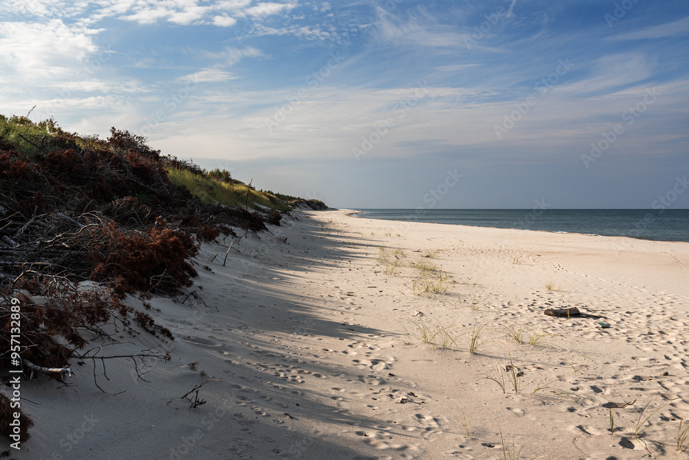 Long white sand beach in the Curonian Spit National Park. Kaliningrad region. Russia