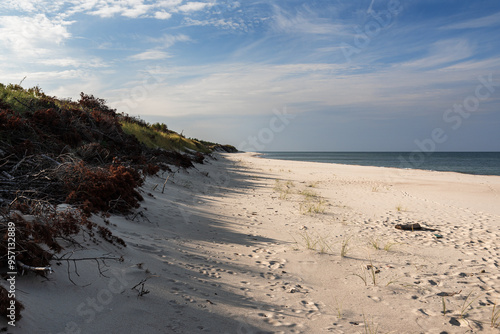Obraz na płótnie Long white sand beach in the Curonian Spit National Park. Kaliningrad region. Russia w salonie