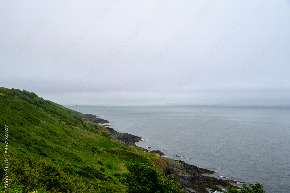 the South West Coast path along the Rame Peninsula in Mount Edgcumbe Country Park Cornwall England on a misty summer day