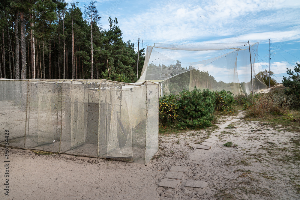 Big trap in Fringilla field ornithological station. in the Curonian Spit National Park. Russia