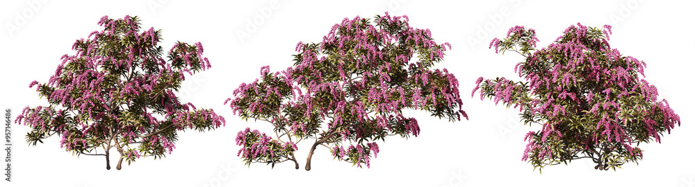 The tree has colorful flowers on a transparent background. The tree has colorful flowers on a transparent background.