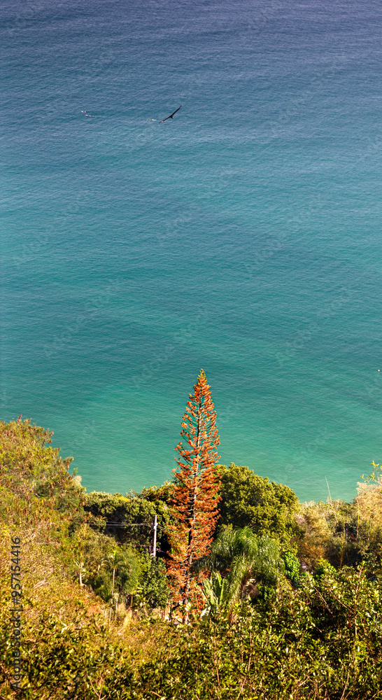 Fototapeta premium coral reef in the sea