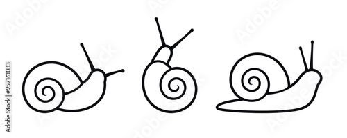 Grape snail outline. Isolated grape snail on white background