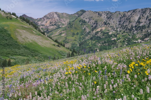 Summer in Little Cottonwood Canyon, Utah