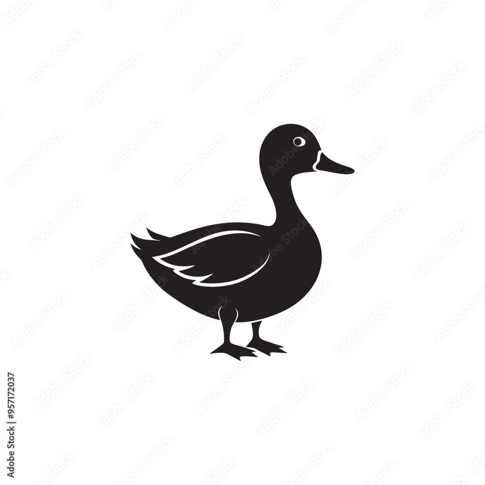 Mallard Duck Habitat and Conservation: Protecting This Iconic Species Mallard Duck Habitat and Conservation: Protecting This Iconic Species