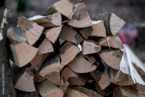 Aspen firewood pile in a cozy outdoor setting