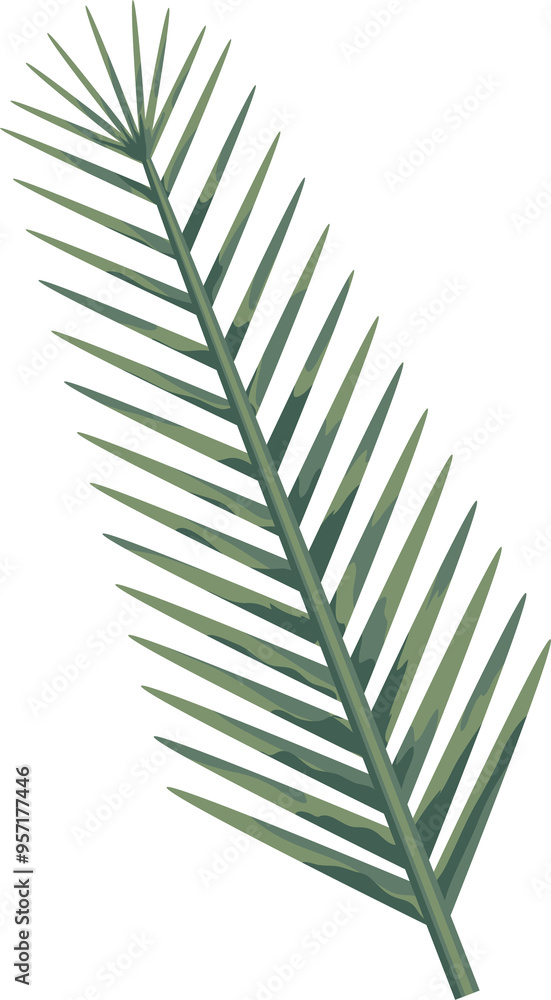 Fototapeta premium Beige, green, white tropical leaves in flat style, on transparent, png. Illustration. Green jungle,foliage. Floral beach