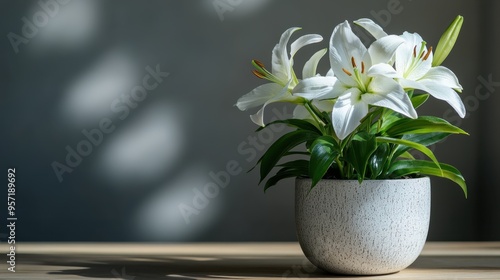 White lilies in a textured pot with sunlight casting artistic shadows on the surface, creating a warm and inviting atmosphere indoors. It showcases beauty and tranquility in simplicity. photo