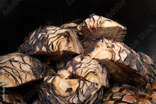 Piezas de agaves cocinados en un horno de autoclave en una fabrica de Jalisco.
 photo