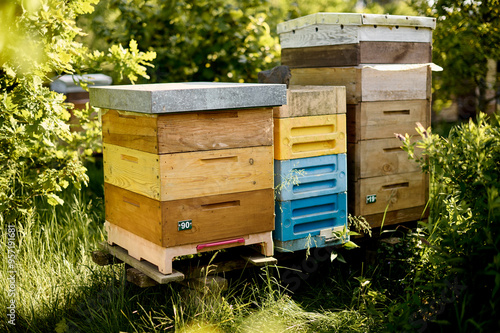 Beehive in rural environment photo