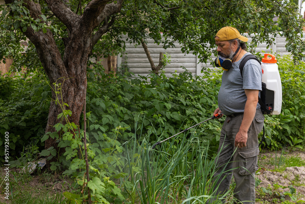 pollination of plants with fertilizers pollination of plants with fertilizers