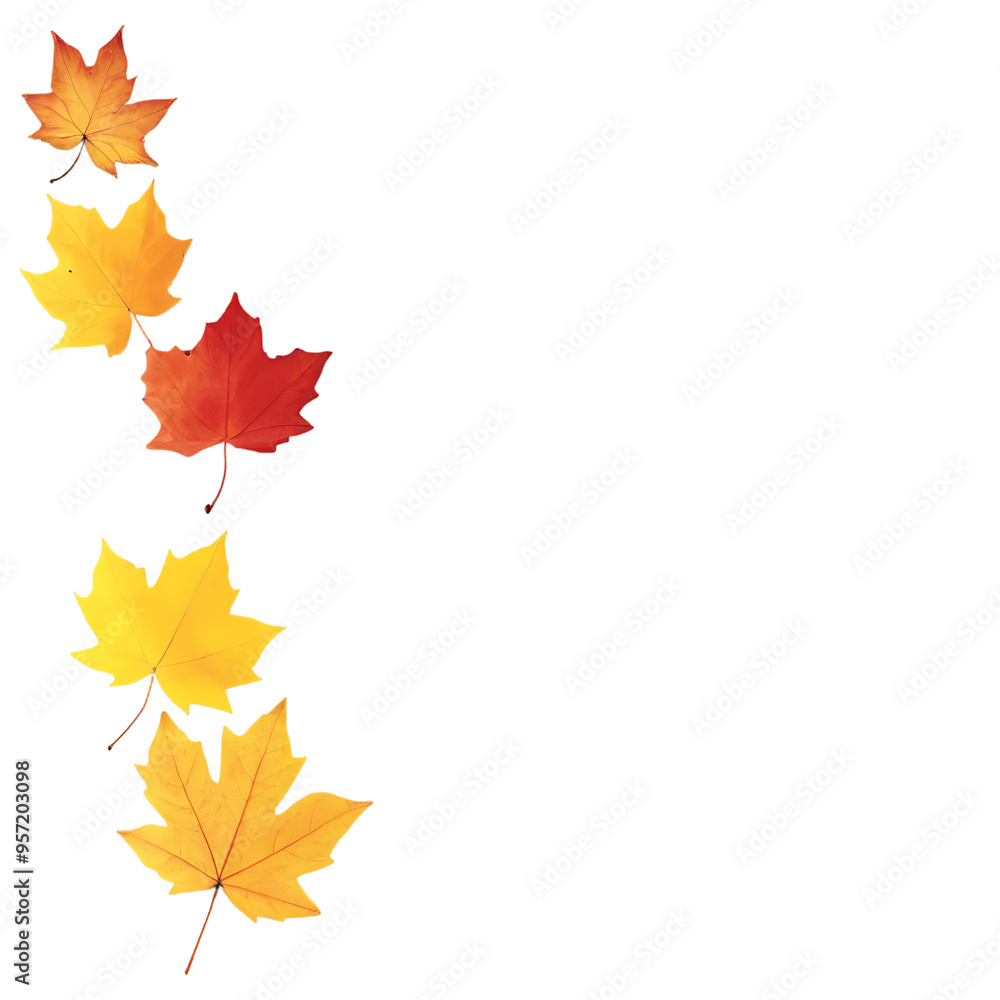 autumn leaves on a transparent background autumn leaves on a transparent background