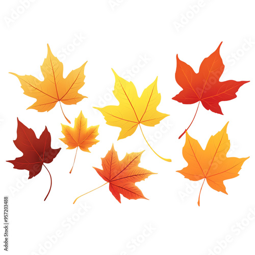 autumn leaves on a transparent background