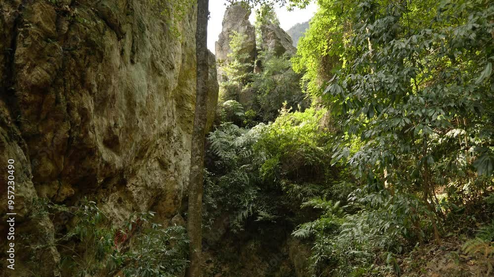 Natural scenery of Wenzhou, Zhejiang, China Natural scenery of Wenzhou, Zhejiang, China