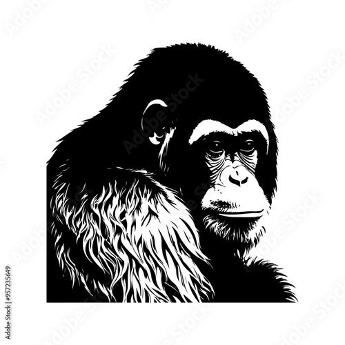 a cute Orangutan silhouette, vector black color silhouette photo