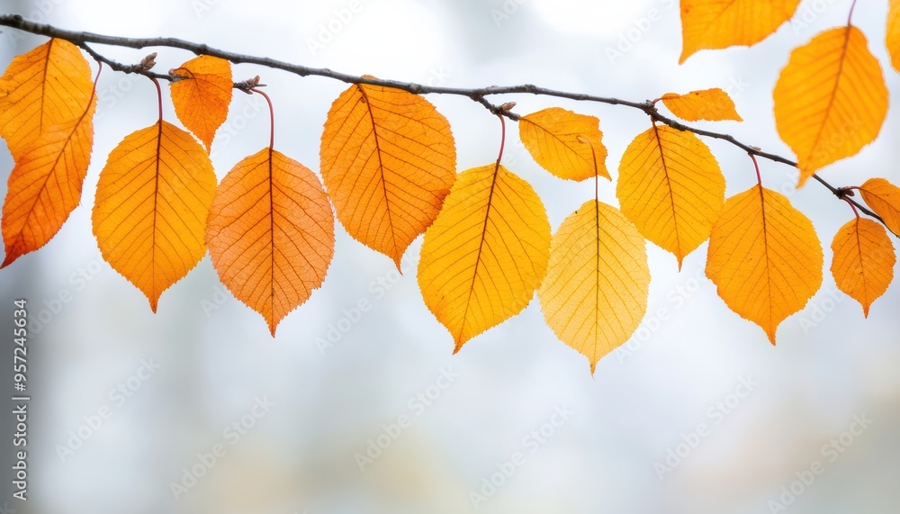 Vibrant Autumn Leaves on Branch Against Soft Background Capturing the Essence of Fall Season Vibrant Autumn Leaves on Branch Against Soft Background Capturing the Essence of Fall Season