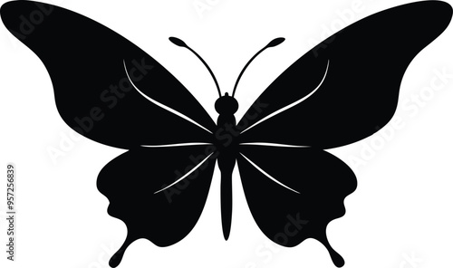 butterfly silhouette vector illustration photo