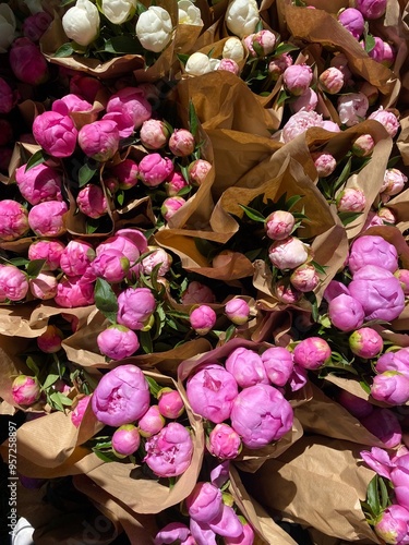 Photography Assortment of peonies at the Toronto Flower Market, Toronto, Ontario, Canada