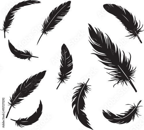 Crow feathers silhouette vector art illustration