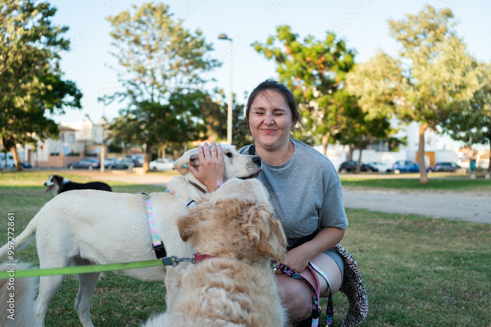 woman playing with dogs in a park woman playing with dogs in a park