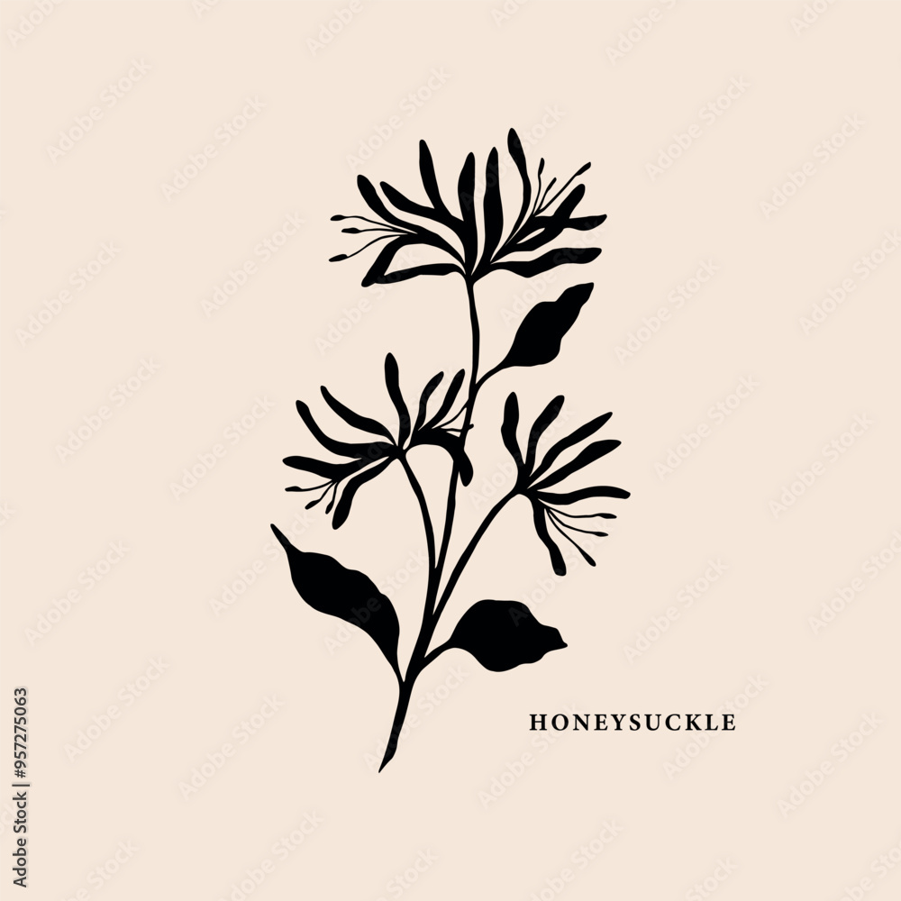 Fototapeta premium Flat vector honeysuckle branch illustration