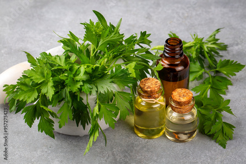 Parsley essential oil in a ...