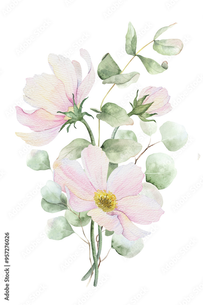 Fototapeta premium Pink cosmos flowers, eucalyptus leaves and bunches. Floral pastel style bouquets. Isolated hand drawn watercolor illustration for wedding design, cards, posters, greetings, save the date