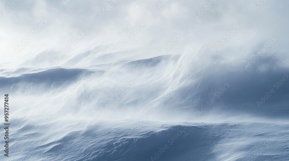 Fototapeta premium Blizzard conditions with snow swirling in the wind, winter weather, intense cold